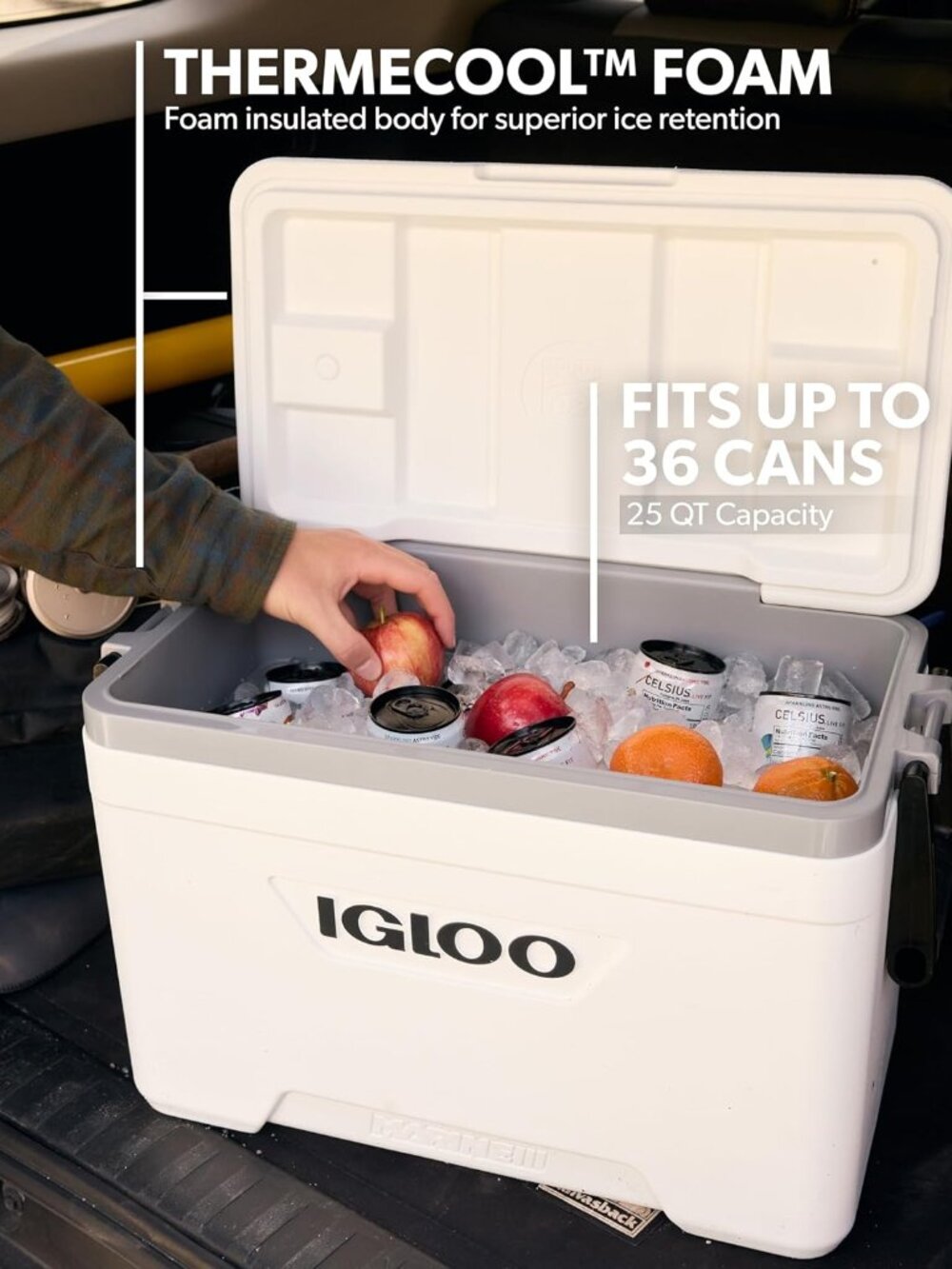 Marine Cooler | Insulated Hard Shell Ice Chest |Great for Fishing, Camping, Boat - Picture 3 of 11
